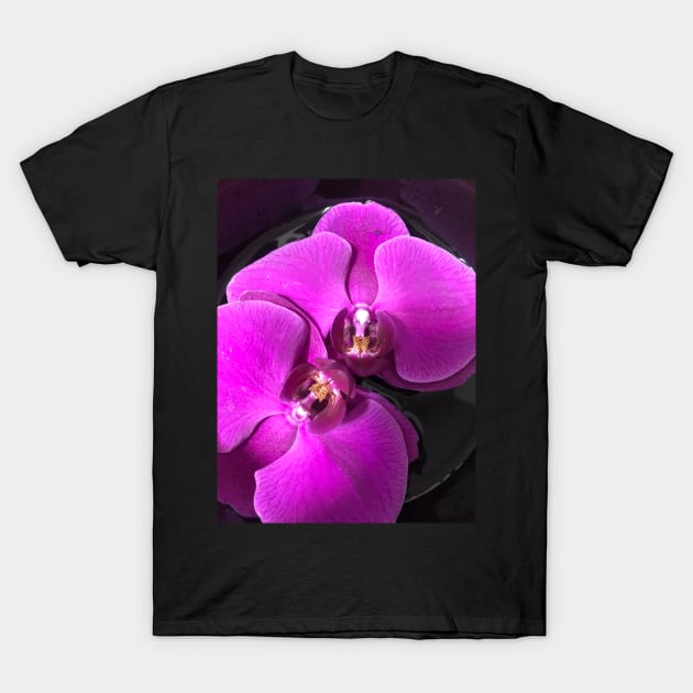 Floating Purple Orchid T-Shirt by Coco Traveler 